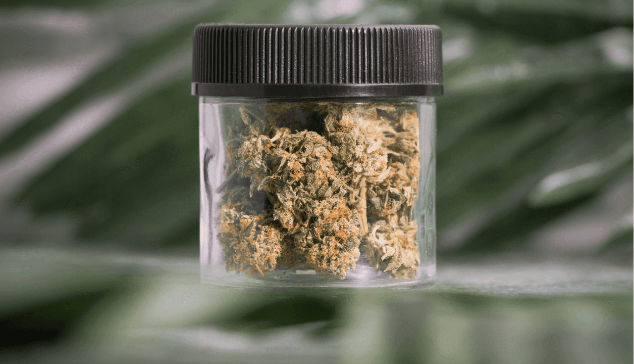 Cannabis in einem durchsichtigen Gefäß